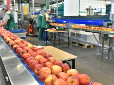 Industrial Alimentare