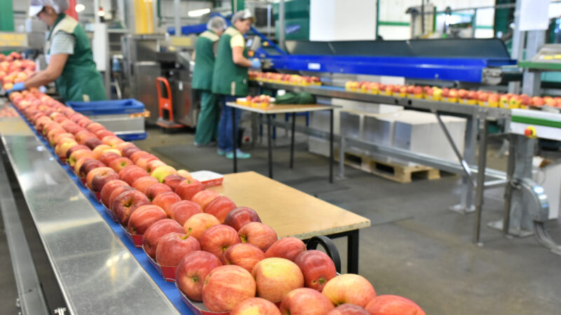 Industrial Alimentare