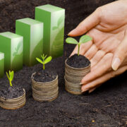 Crescita e sostenibilità PMI