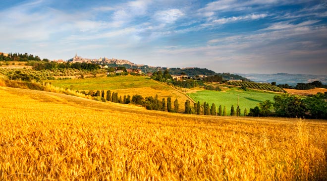 Società Agricola in Vendita a Udine