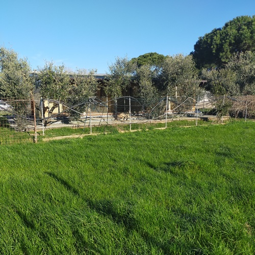 Azienda Agricola con Canile in Vendita a Lucca