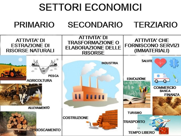 spiegazione settori economici - Quali sono i settori economici?: Una guida dettagliata