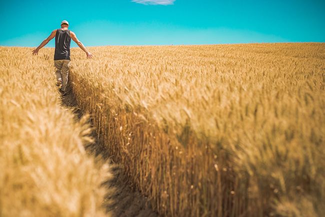 Vendita aziende agricole. Cos’è il prestito agrario e chi può beneficiarne.