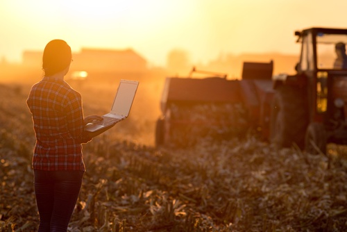Come diventare imprenditore agricolo, le regole da seguire