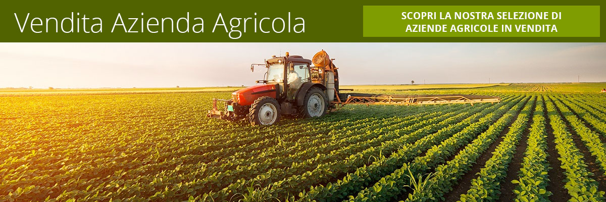 Vendita Aziende agricole